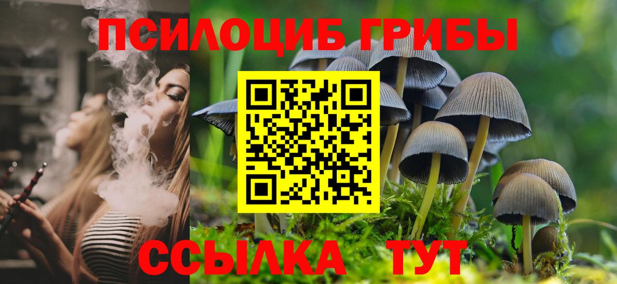 Клин  Псилоцибиновые грибы мухоморы  Вход с VPN 